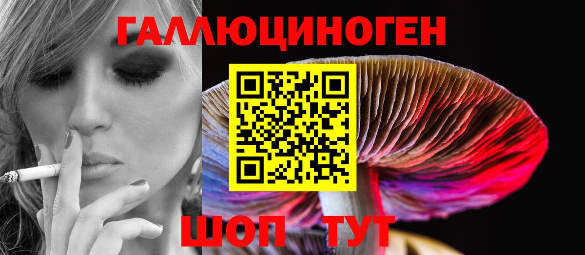 Волжск  Галлюциногенные грибы MAGIC MUSHROOMS  Вход с VPN  Галлюциногенные грибы Cubensis 